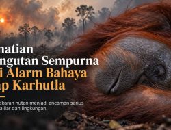 Kematian Orangutan Sempurna Jadi Alarm Bahaya Asap Karhutla