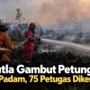 Karhutla Gambut Petung Belum Padam, 75 Petugas Dikerahkan