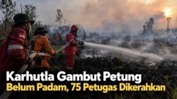 Karhutla Gambut Petung Belum Padam, 75 Petugas Dikerahkan