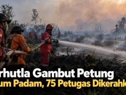 Karhutla Gambut Petung Belum Padam, 75 Petugas Dikerahkan