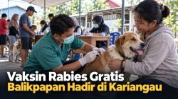 Vaksin Rabies Gratis Balikpapan Hadir di Kariangau
