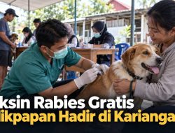 Vaksin Rabies Gratis Balikpapan Hadir di Kariangau